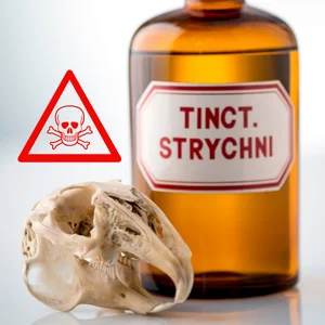 intoxications-animaux