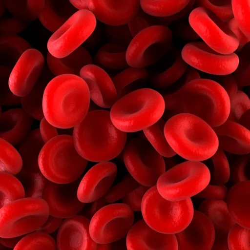 purpura-thrombopenique-immunologique