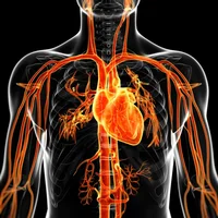 maladies-vasculaires