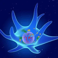 granulomatose-a-cellules-de-langerhans-de-type-pulmonaire