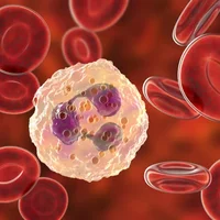 granulomatose-septique-chronique-gsc