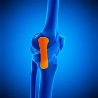 lesions-des-tendons-et-des-ligaments