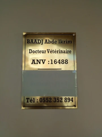  BAADJ
