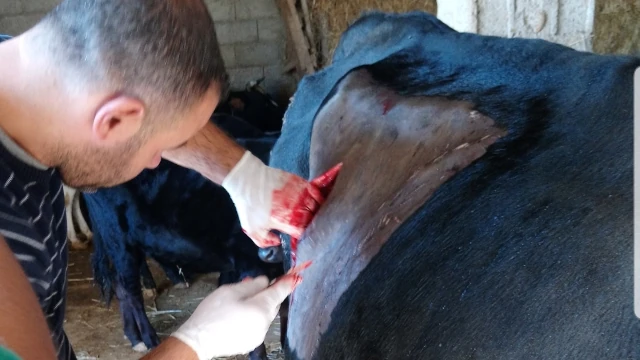 Docteur SAMIR AIT-OUALI