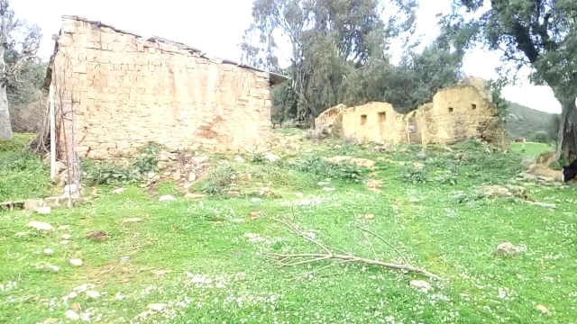   EL HIKMA