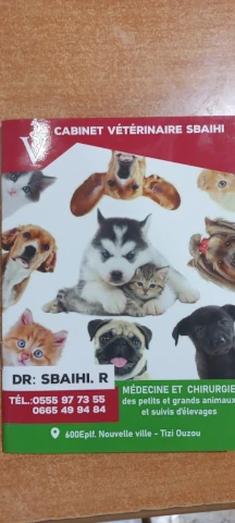 Docteur  SBAIHI