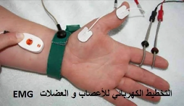 AMINE BEHIDJ