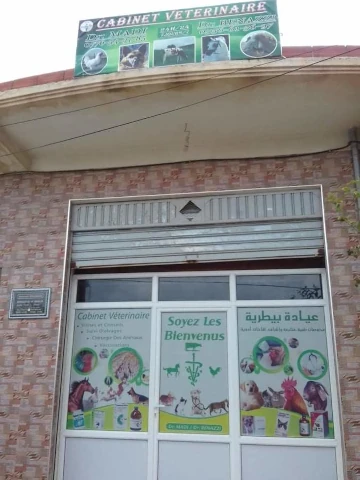 Docteur NADJIB BEN AZZI