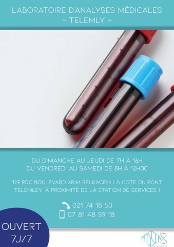 Laboratoire d'analyses médicales  MASSEN TELEMLY