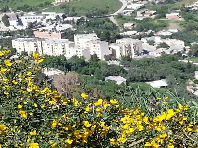   TASSADANE HADDADA