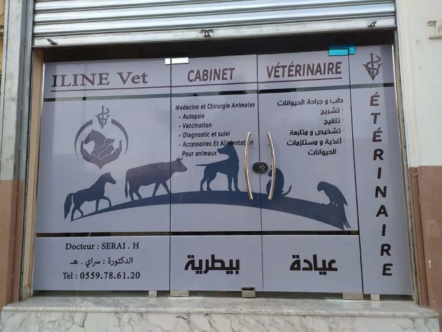 Cabinet ILINE VET