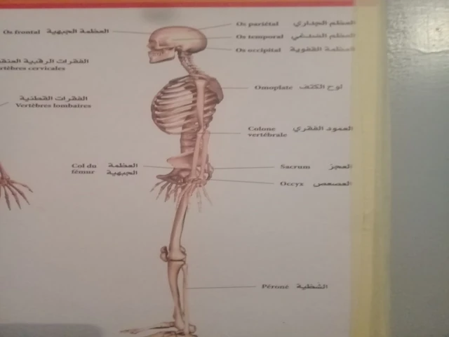   RAS EL AIOUN