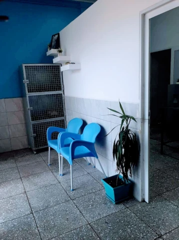 Cabinet BIEN ETRE ANIMAL