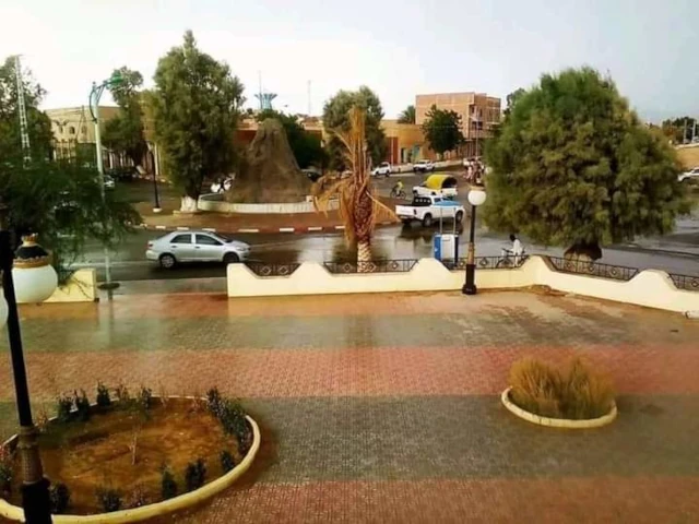   ZELFANA