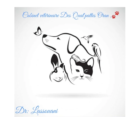 DES QUAT'PATTES