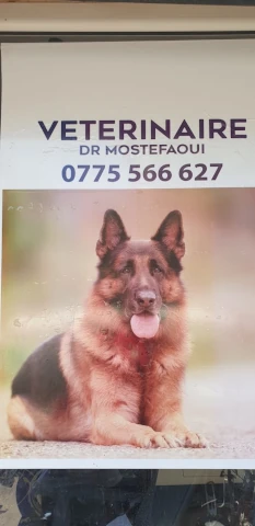 Docteur MOSTEFAOUI