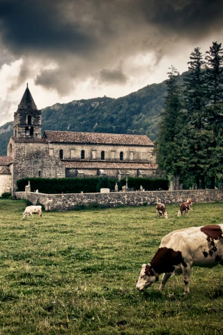 ABDELKARIM MOULAY MELIANI