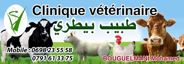 Docteur MOHAMED BOUGUELMANI