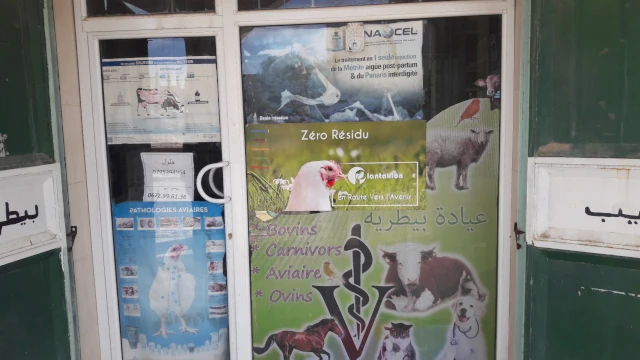 RIADH DJELOULE BOUMEZRAG