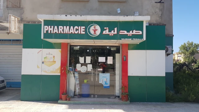 NARDJES NAAMANE FRIGAA