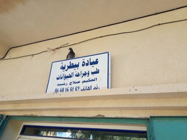 RACHID SALAH