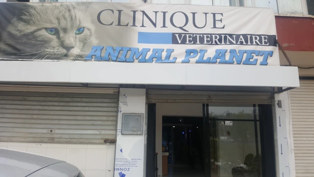 Cabinet ANIMALE PLANET MAMERIA