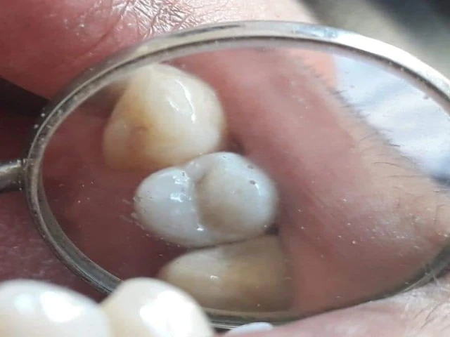 Docteur SALHI