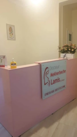 LAMIS MEKHERBECH
