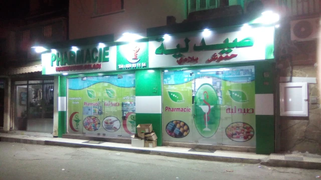 FELLA HAMMOUCHE BELADI