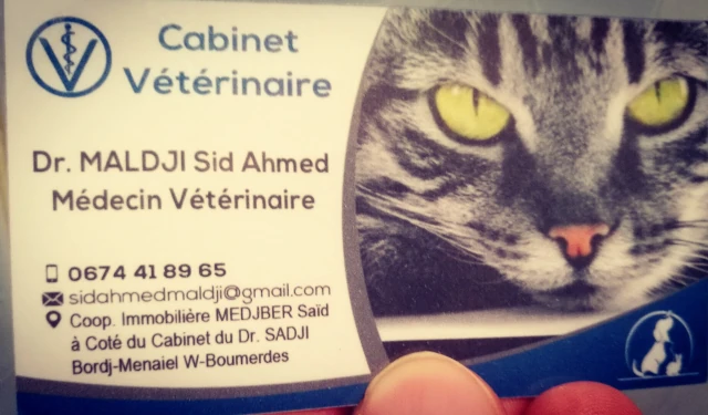 Docteur S MALDJI