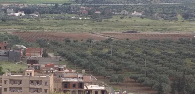  ALLAGHENE