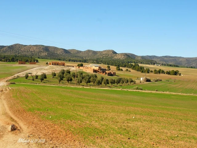   AIN EL HADJAR - SIDI M'BAREK