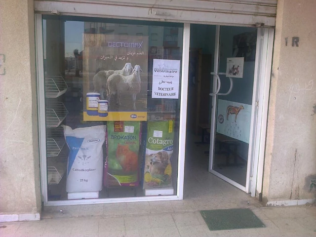 HAKIM SAOUDI  EL HAYAT