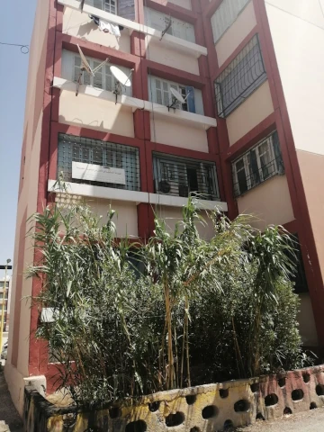 LINDA-NAWEL MEZIANE DAIF