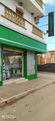 OUALID AHMED BAHALIL