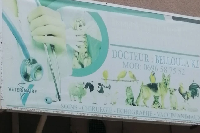 K I BELLOULA