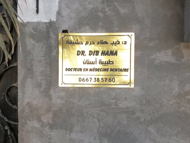  DIB