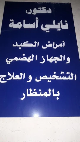 oussama naili