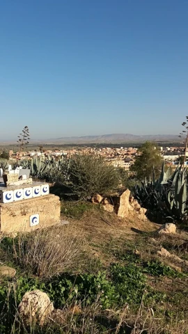 CHAKIB BELHADI  AL RAAZI