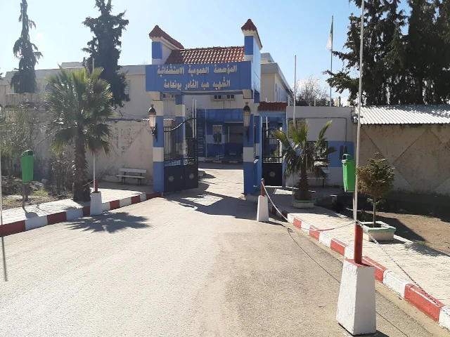   BORDJ BOU NAAMA