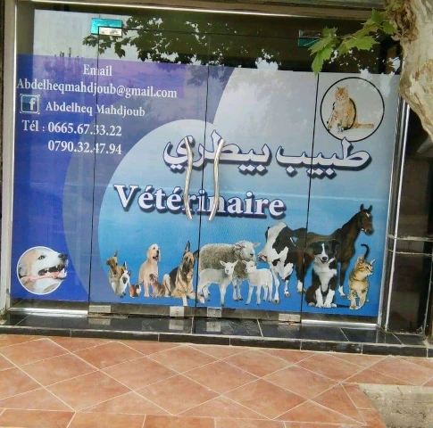 ABDELHAK MAHDJOUB ARAIBI