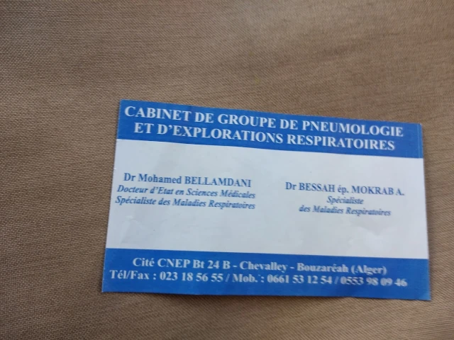 MOHAMED BELLAMDANI