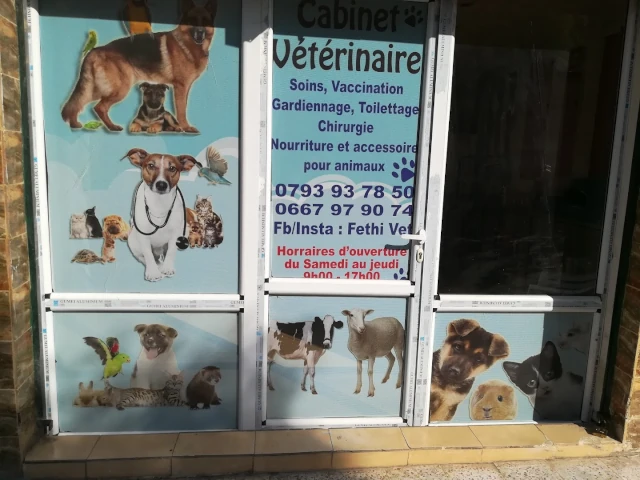 Cabinet FETHI VET
