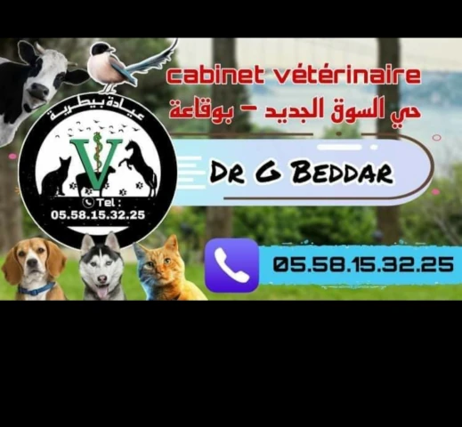 Docteur Ghezlane Bedar