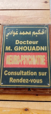 MOHAMED GHOUADNI