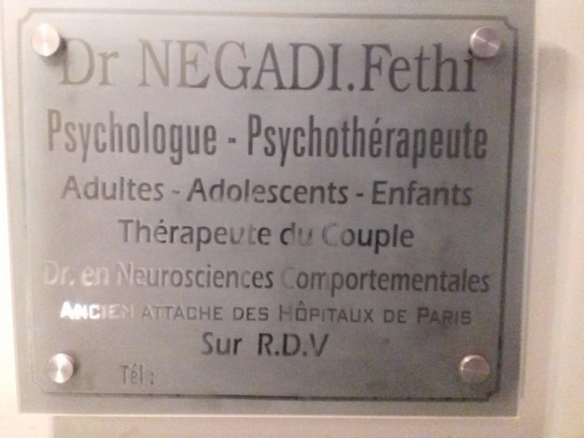 FETHI NEGADI