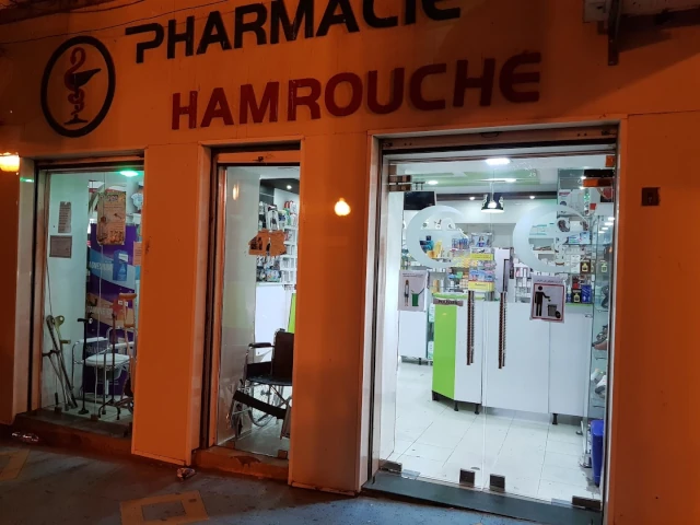 LEILA HAMROUCHE  BRAHMIA