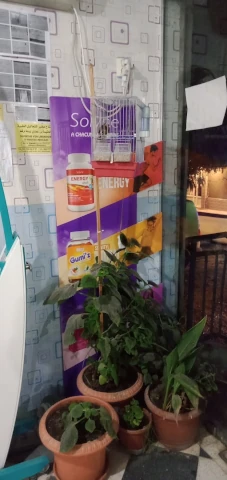 Pharmacie MOHAMED YAICHE