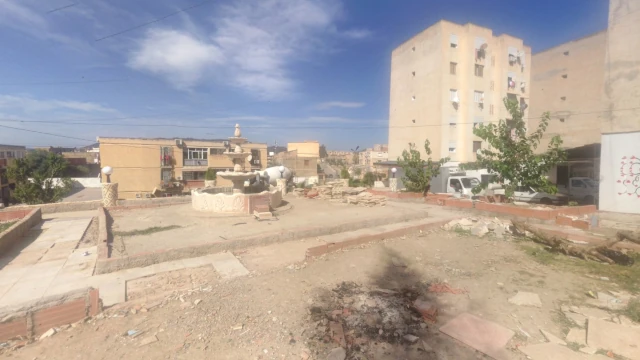 DJAMILA TIFOUN  TALEB