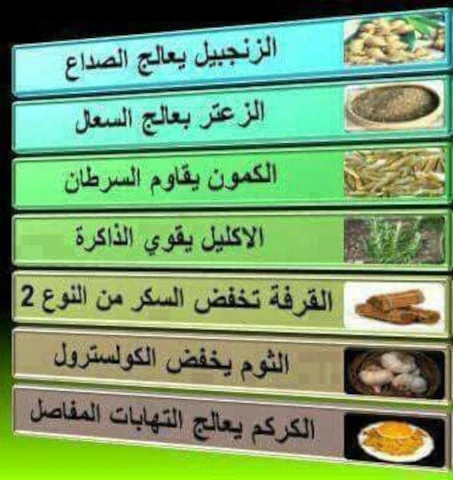 NAOUFEL YAZID MOHAMED EL HADI BELKHODJA